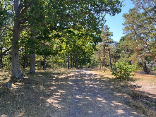 Mysigt hus i Golfbyn, Ekerum Öland - Bild 16