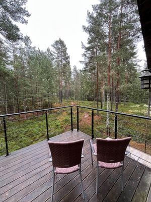 Fritidshus vid sjön med motorbåt i ett privat läge - Bild 7
