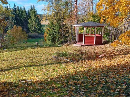 Stuga i skogen - Bild 14