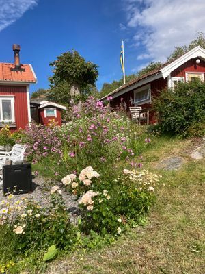 Små röda stugor centralt i Strömstad - Bild 10