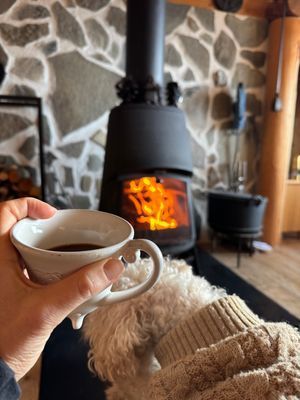 Bild 4 på Riphyddan, 880 möh, Fjällnäs