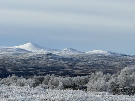 Bild 3 på Riphyddan, 880 möh, Fjällnäs