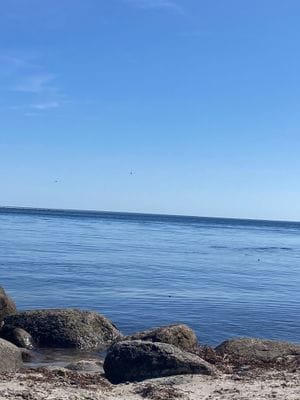 8 bädds stuga i lummig naturskön omgivning - Bild 14