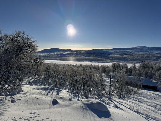 Utsikt från stugan