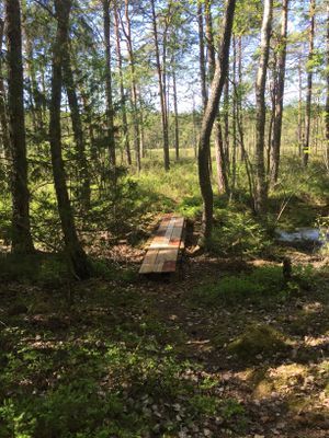 Till Lilla Kalvsjön