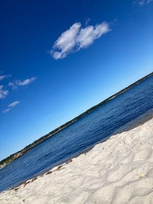 8 bädds stuga i lummig naturskön omgivning - Bild 24