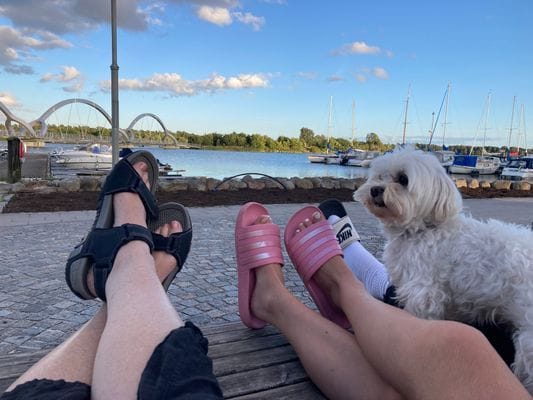 8 bädds stuga i lummig naturskön omgivning - Bild 20
