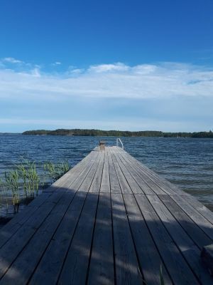 Underbart sommarboende på gård nära vattnet - Bild 15