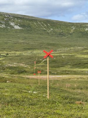 Fjällstuga Storhogna - Bild 19