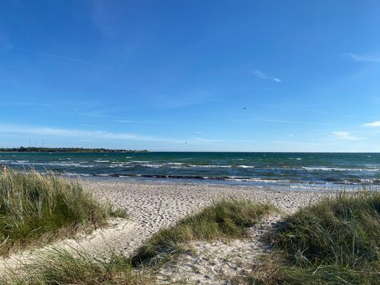 Smultronstället i Sandviken - Bild 7