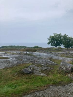 8 bädds stuga i lummig naturskön omgivning - Bild 22