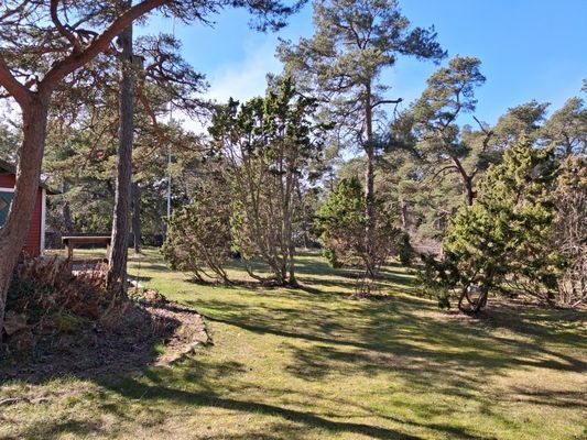 Sommarparadis Burge Lummelunda - Bild 7
