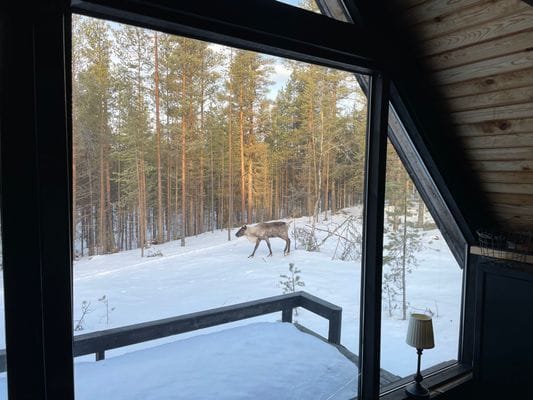 Bild 3 på Unikt A-hus mitt i skogen – 8 min från Björnrike!