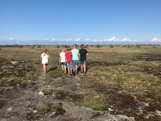 Stigen över alvaret mot Kalmarsund.