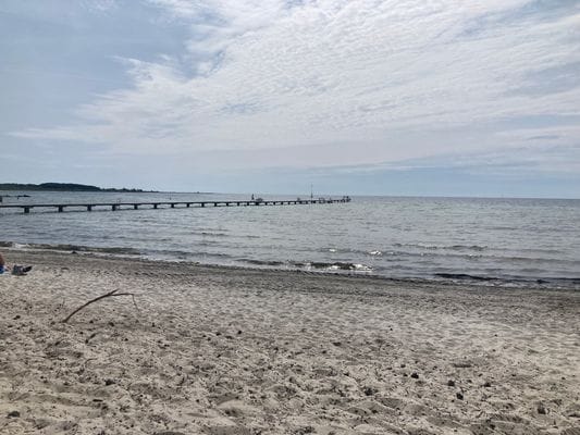 8 bädds stuga i lummig naturskön omgivning - Bild 30
