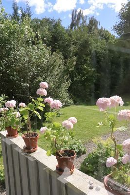 Theas hus på Österlen - Bild 23