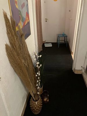 Hus i Drängsered 25 min till Ullared - Bild 20