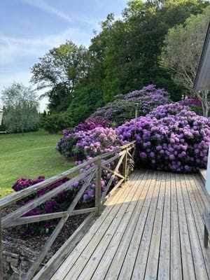 Vacker villa i Arild på naturtomt med havsutsikt - Bild 15