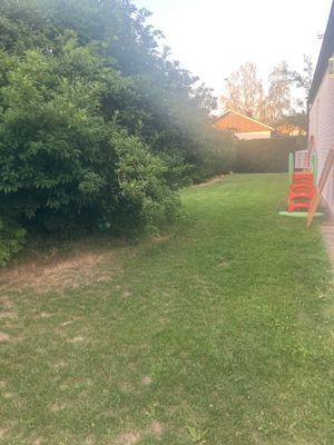 Villa 35 min från Kolmårdens Djurpark - Bild 11