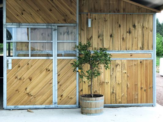 Strandnära semesterhus i Onsala | SE02052 - Bild 21