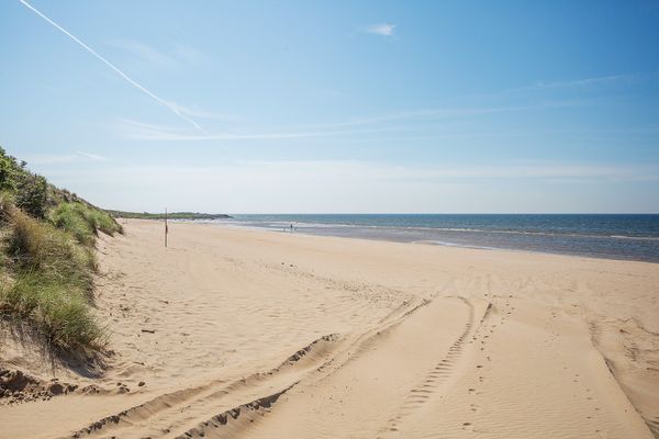 Strandnära badstuga på Skrea strand i Falkenberg - Bild 13