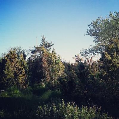 Sjönära boende i Ronehamn på sydöstra Gotland - Bild 21