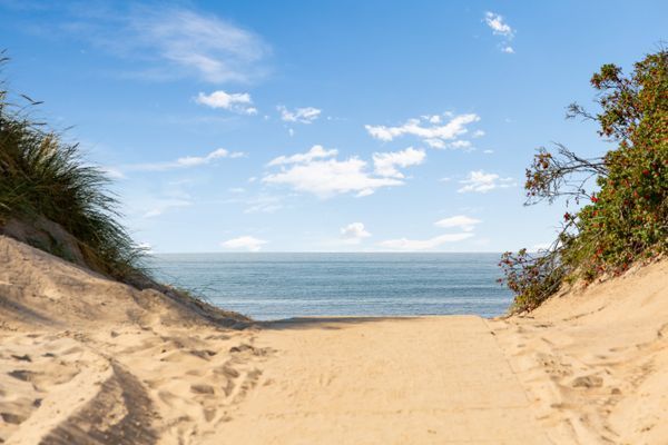 Strandnära badstuga på Skrea strand i Falkenberg - Bild 14