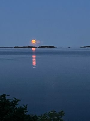 Rymligt sommarhus, fri havsutsikt och egen brygga - Bild 36