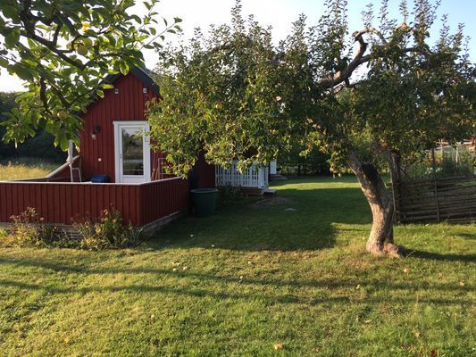 Stugan sedd från trädgården i augusti