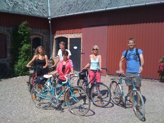 GRÖNA KRUSBÄRSSTÄLLET - Nytt bekvämt hus med charm - Bild 23