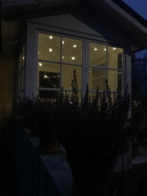 Theas hus på Österlen - Bild 58