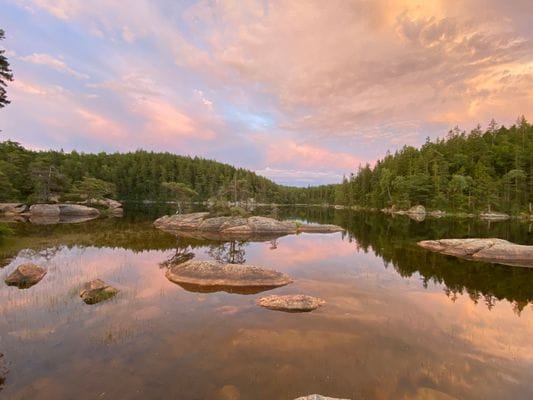 Idyllisk sommarstuga mitt i naturen vid sjökanten - Bild 38