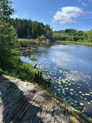 Havsnära vid Malö Strömmar och Orust Golfklubb - Bild 22