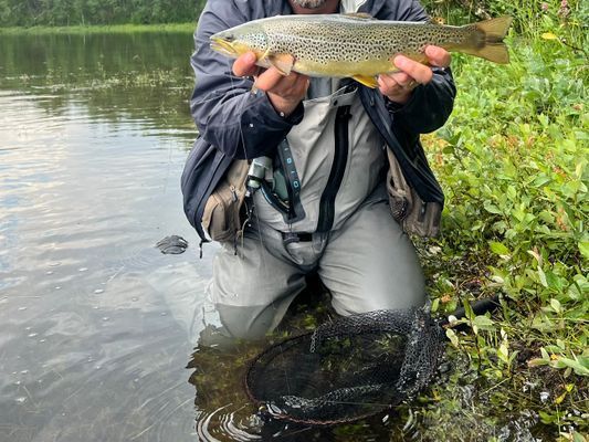Stuga med fjäll- och sjöutsikt, bastu, och kamin - Bild 46