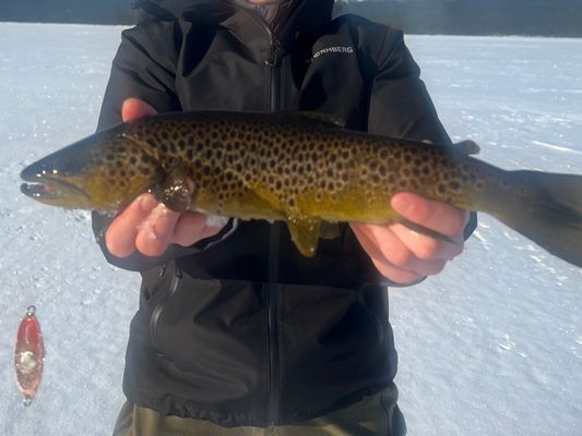 Stuga med fjäll- och sjöutsikt, bastu, och kamin - Bild 47