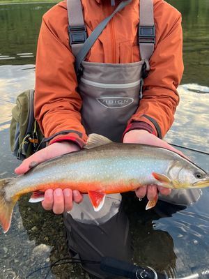 Stuga med fjäll- och sjöutsikt, bastu, och kamin - Bild 48