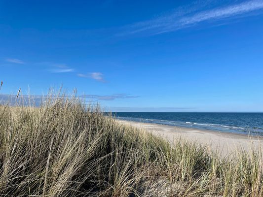 Unik stuga vid Sandhammarens naturreservat - Bild 8