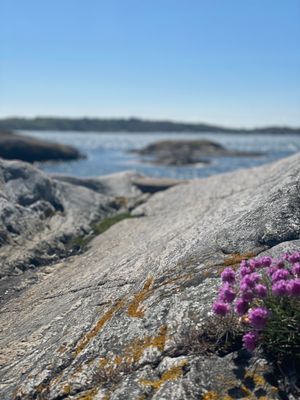 Donsö  - vid hav o strand -  110kvm i Villa - Bild 63