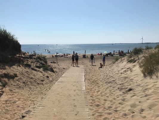 Mysig stuga med havsutsikt och stor tomt - Bild 9