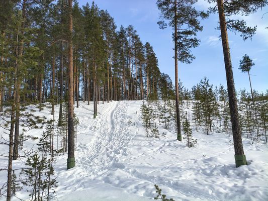 Magisk stuga i med utsikt över Fulufjället - Bild 56