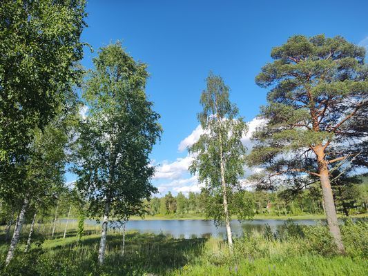 Magisk stuga i med utsikt över Fulufjället - Bild 55