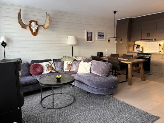 Åres bästa läge i sadeln ski-in/ski-out - Bild 22