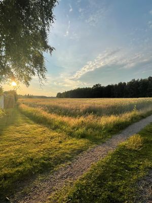 Stuga med panoramautsikt över Kalmarsund - Bild 9