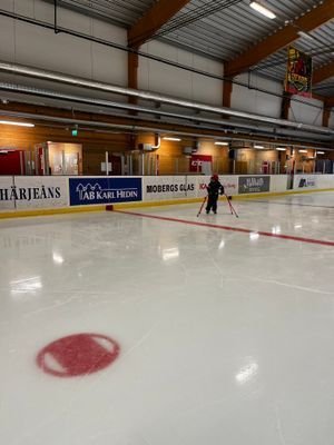 Naturskönt lugnt fint ställe, egen vedeldad bastu - Bild 36