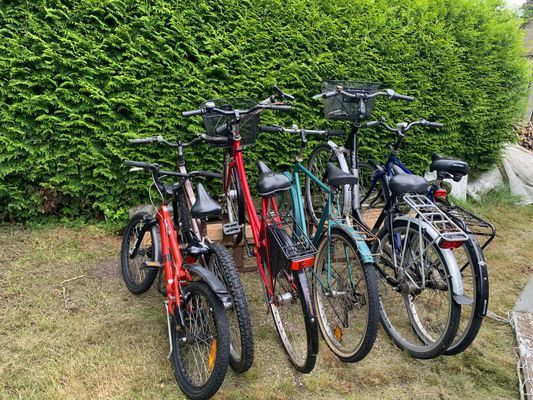 Mysig och fräsch stuga med insynsskyddad tomt - Bild 19