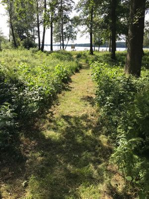 Mysig stuga med sjöutsikt vid Lursjön, Skåne. - Bild 15