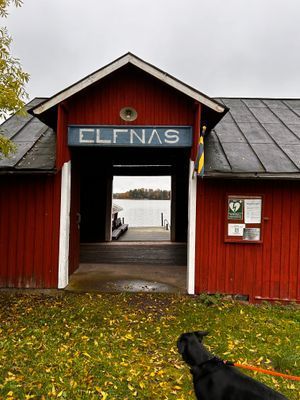 Hus nära skog, hav och ängar - Bild 19