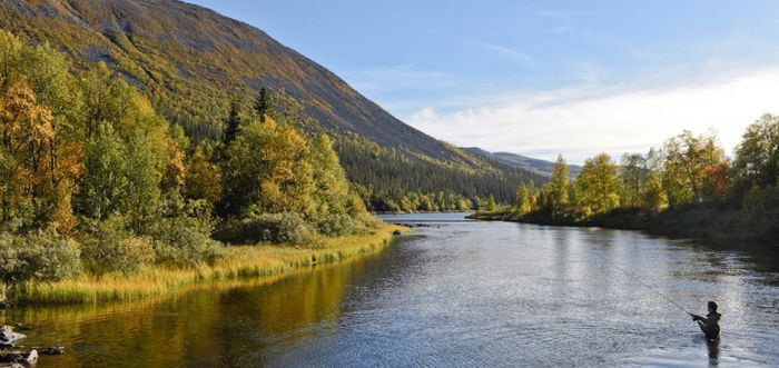 Mysig stuga mitt i Bydalen - Bild 17