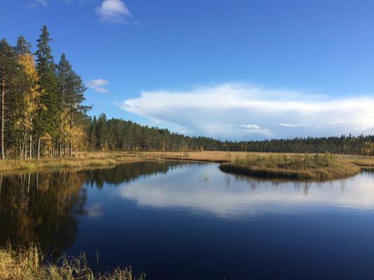Naturnära Tenngården - Bild 14