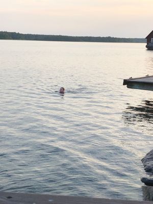 Hus nära skog, hav och ängar - Bild 15